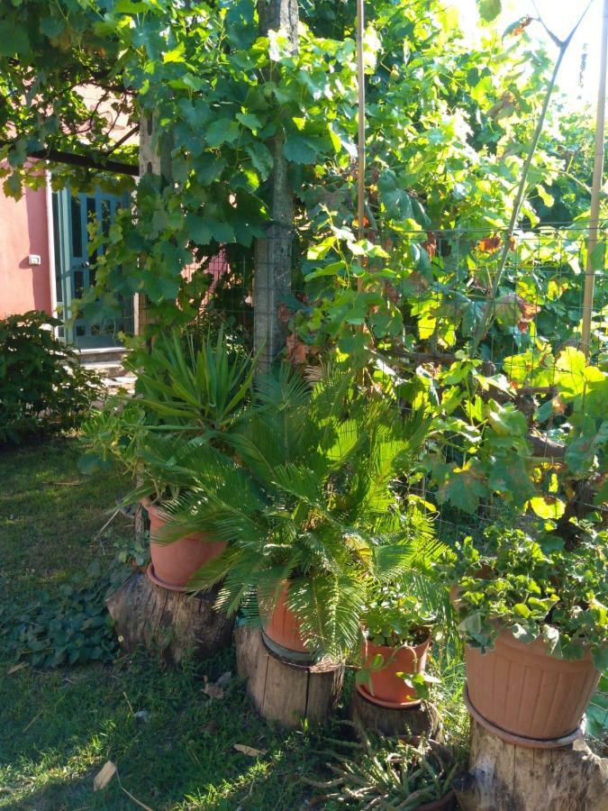 Bella Di Notte Leilighet San Giorgio a Liri Eksteriør bilde