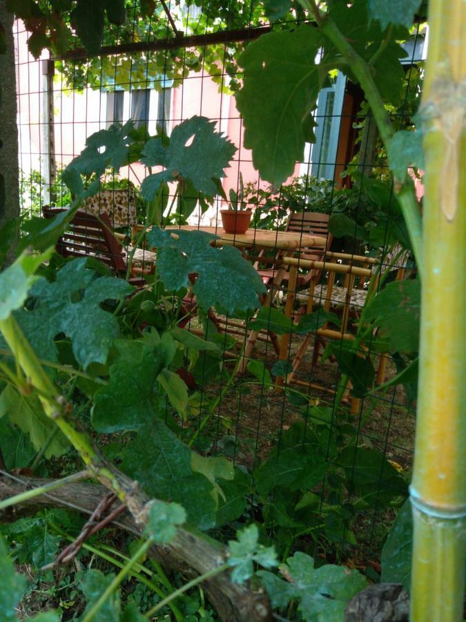 Bella Di Notte Leilighet San Giorgio a Liri Eksteriør bilde
